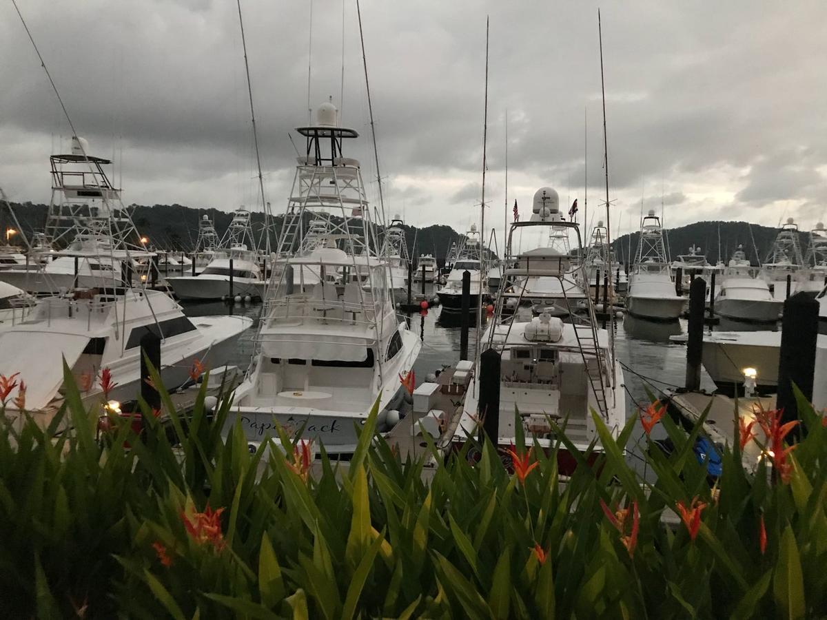 Los Suenos Marriot Hotel And Marina ハコ エクステリア 写真
